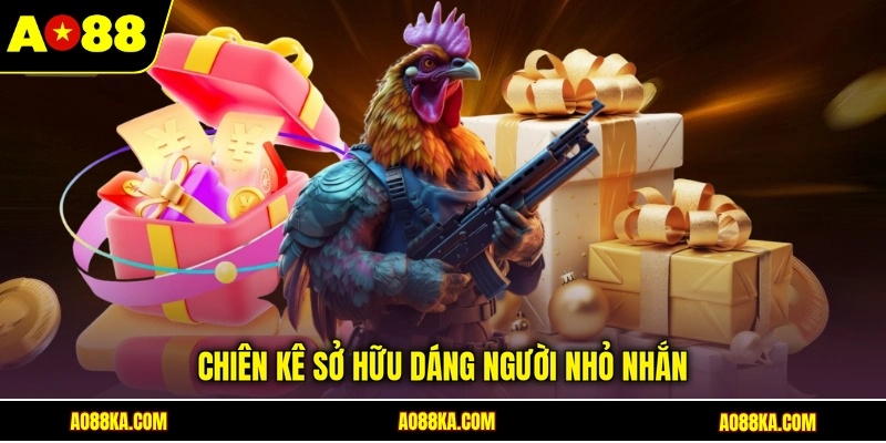 Chiến kê sở hữu dáng người nhỏ nhắn